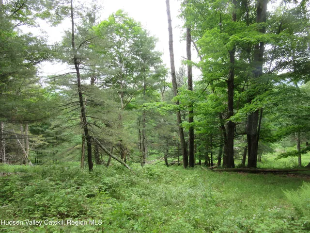 a view of outdoor space and green space