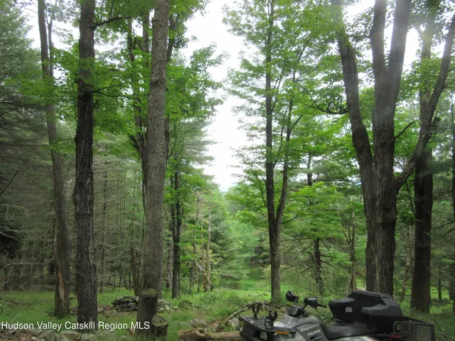 a view of yard with trees