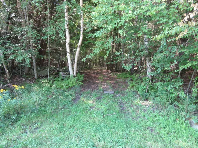 a big yard with lots of green space and deers