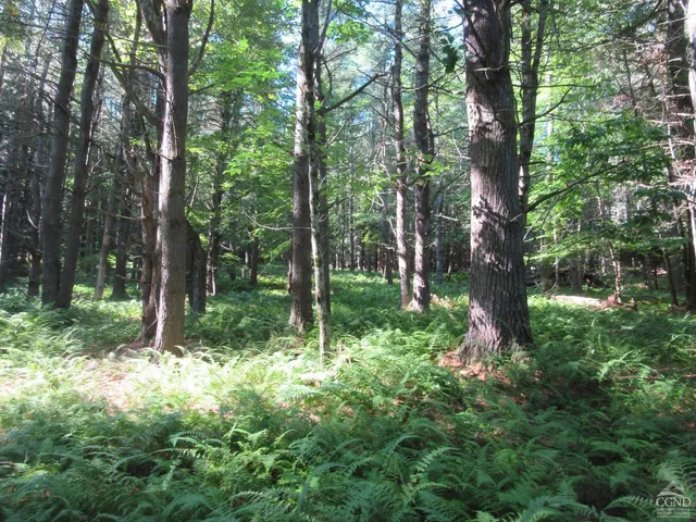 $200,000 | 0 Route 23c Ny 12452, Prattsville, NY 12468