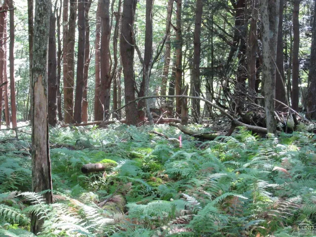 $200,000 | 0 Route 23c Ny 12452, Prattsville, NY 12468