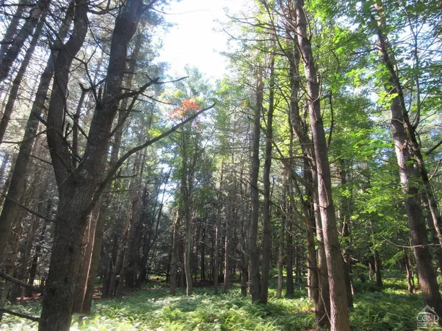 $200,000 | 0 Route 23c Ny 12452, Prattsville, NY 12468