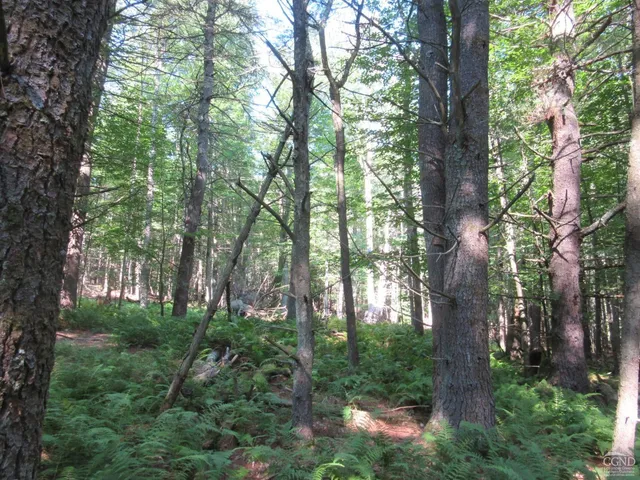 $200,000 | 0 Route 23c Ny 12452, Prattsville, NY 12468