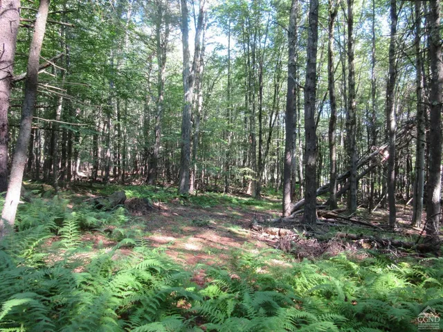 $200,000 | 0 Route 23c Ny 12452, Prattsville, NY 12468