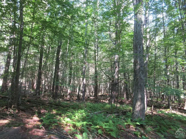 $200,000 | 0 Route 23c Ny 12452, Prattsville, NY 12468