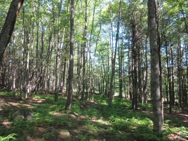 $200,000 | 0 Route 23c Ny 12452, Prattsville, NY 12468