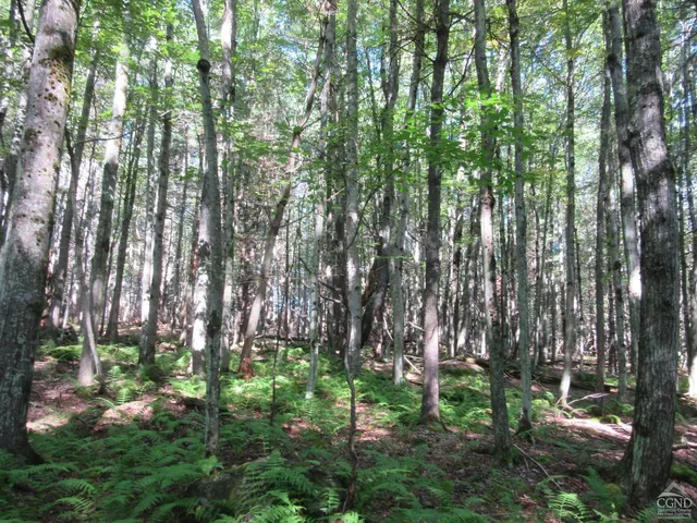 $200,000 | 0 Route 23c Ny 12452, Prattsville, NY 12468