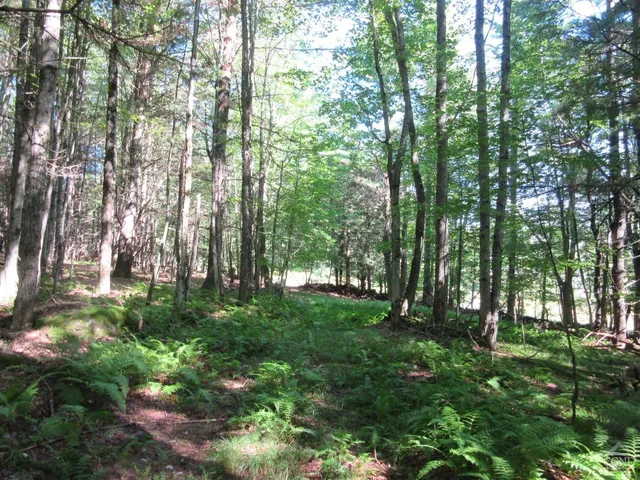 $200,000 | 0 Route 23c Ny 12452, Prattsville, NY 12468