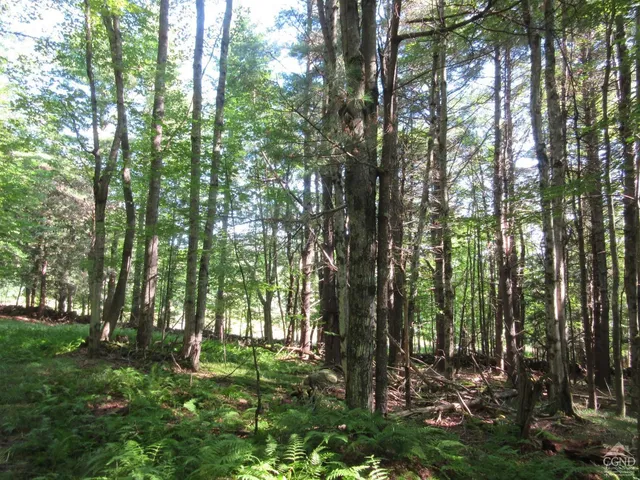 $200,000 | 0 Route 23c Ny 12452, Prattsville, NY 12468