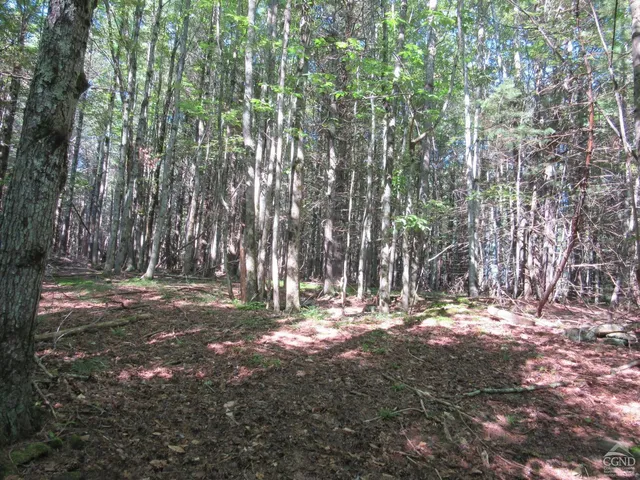 $200,000 | 0 Route 23c Ny 12452, Prattsville, NY 12468