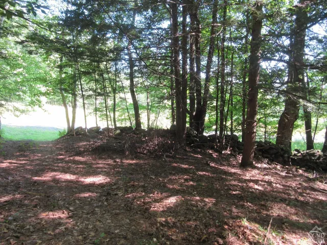 $200,000 | 0 Route 23c Ny 12452, Prattsville, NY 12468