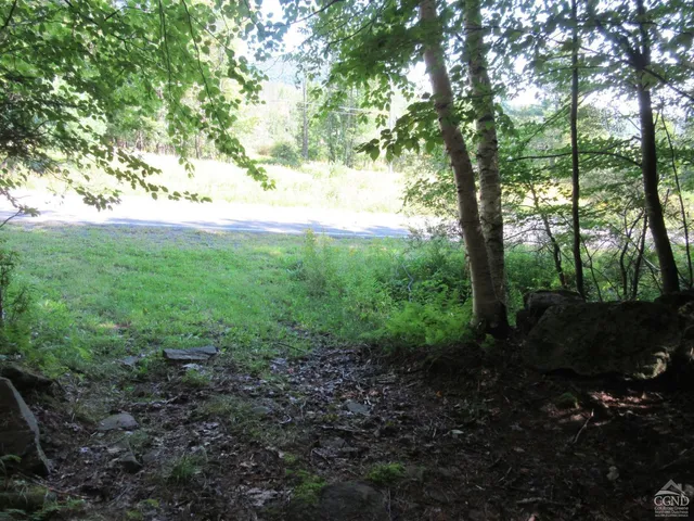 $200,000 | 0 Route 23c Ny 12452, Prattsville, NY 12468