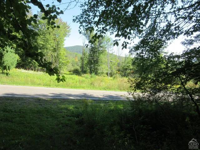 $200,000 | 0 Route 23c Ny 12452, Prattsville, NY 12468