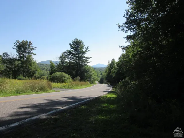 $200,000 | 0 Route 23c Ny 12452, Prattsville, NY 12468