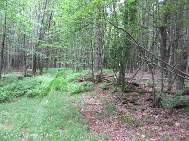a view of outdoor space and green space