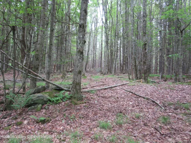 a backyard of a house with lots of green space and fountain