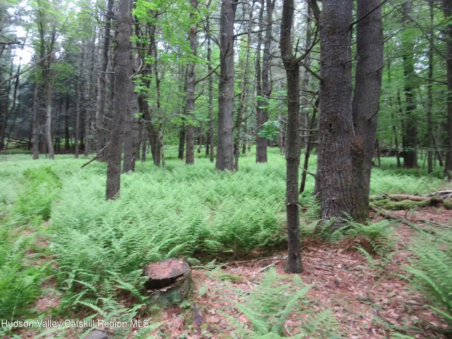 a green field with lots of bushes