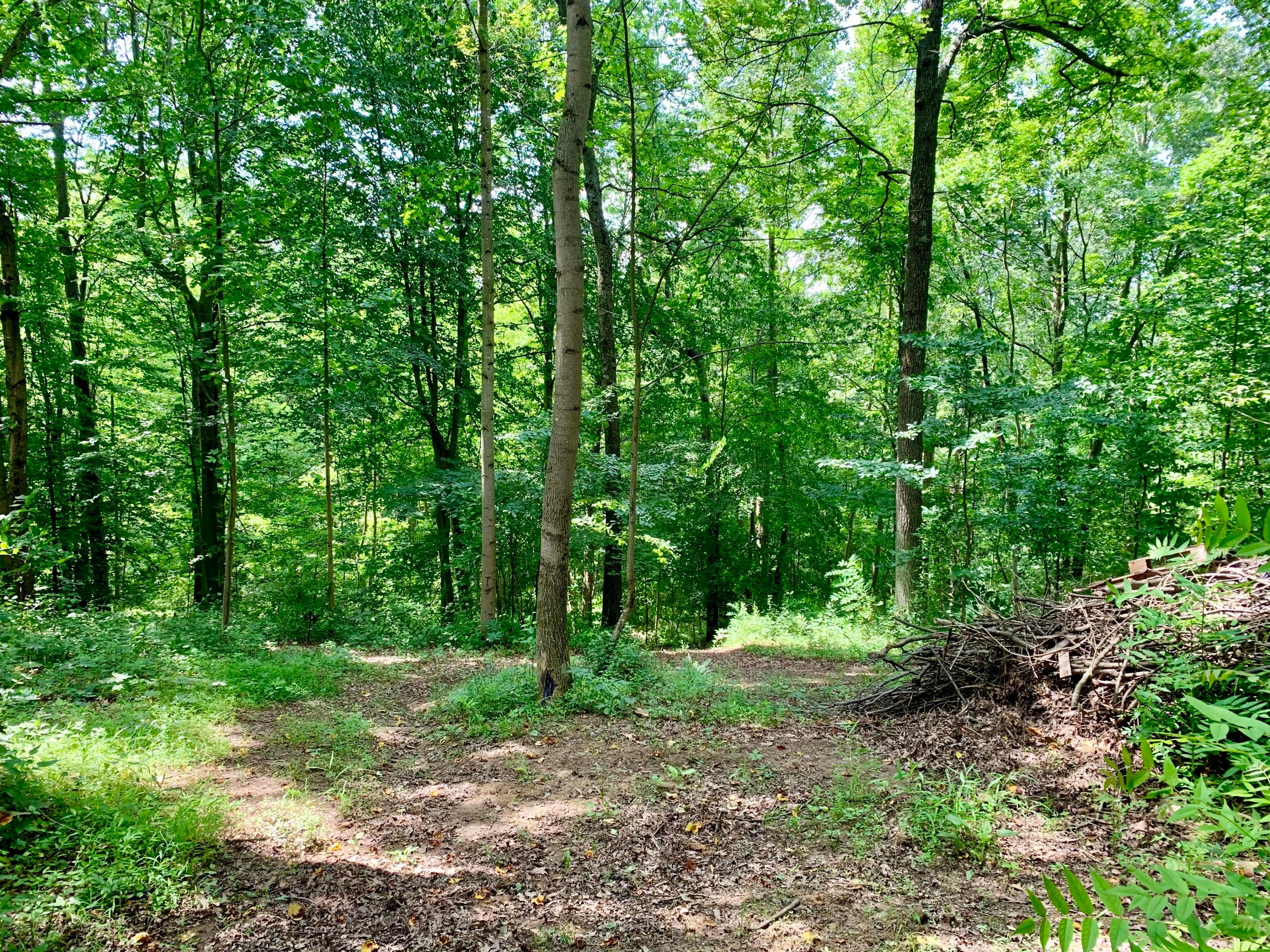 36703 Scout Road Logan, OH 43138 - Photo 50 of 58