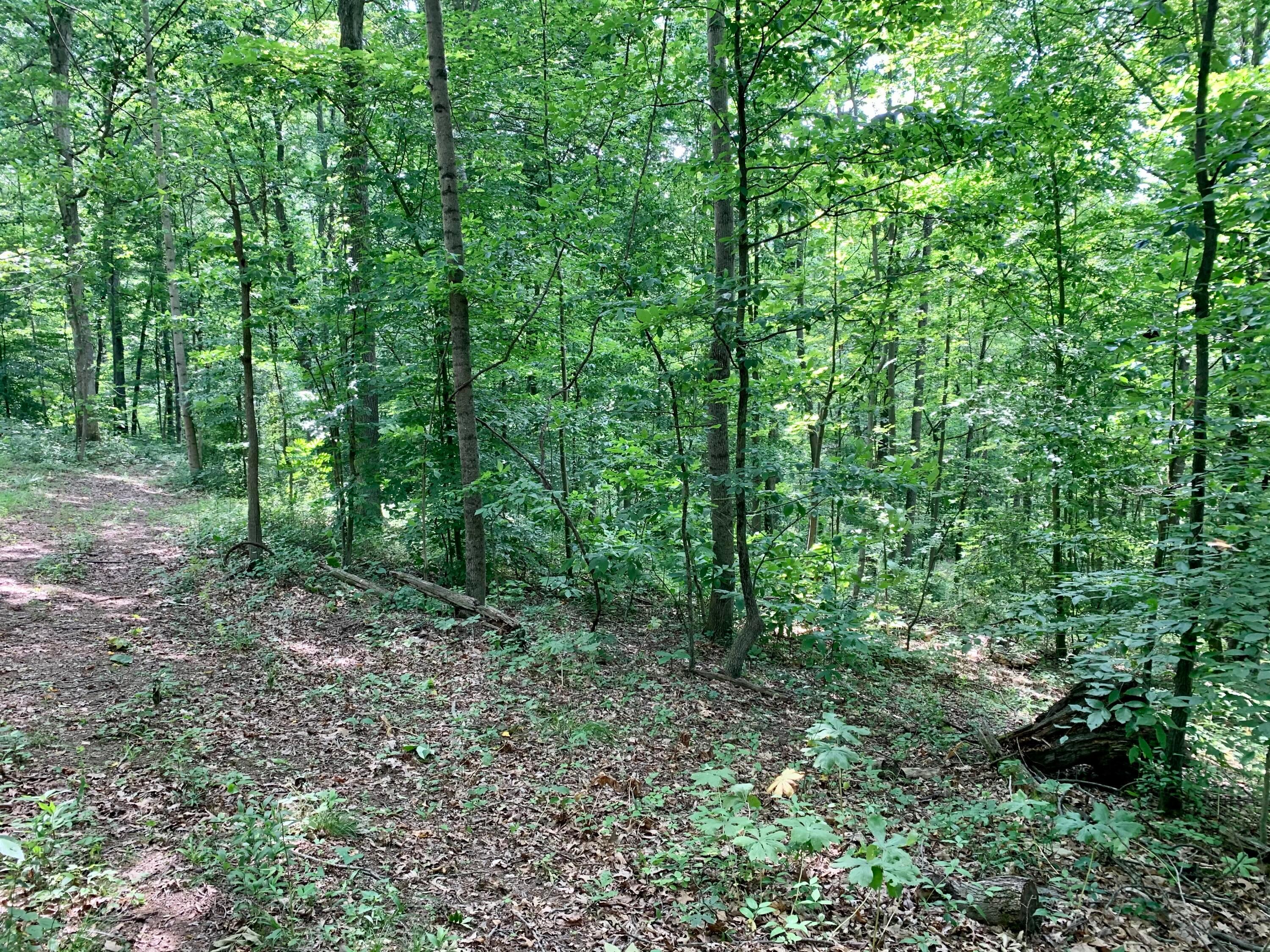 36703 Scout Road Logan, OH 43138 - Photo 52 of 58
