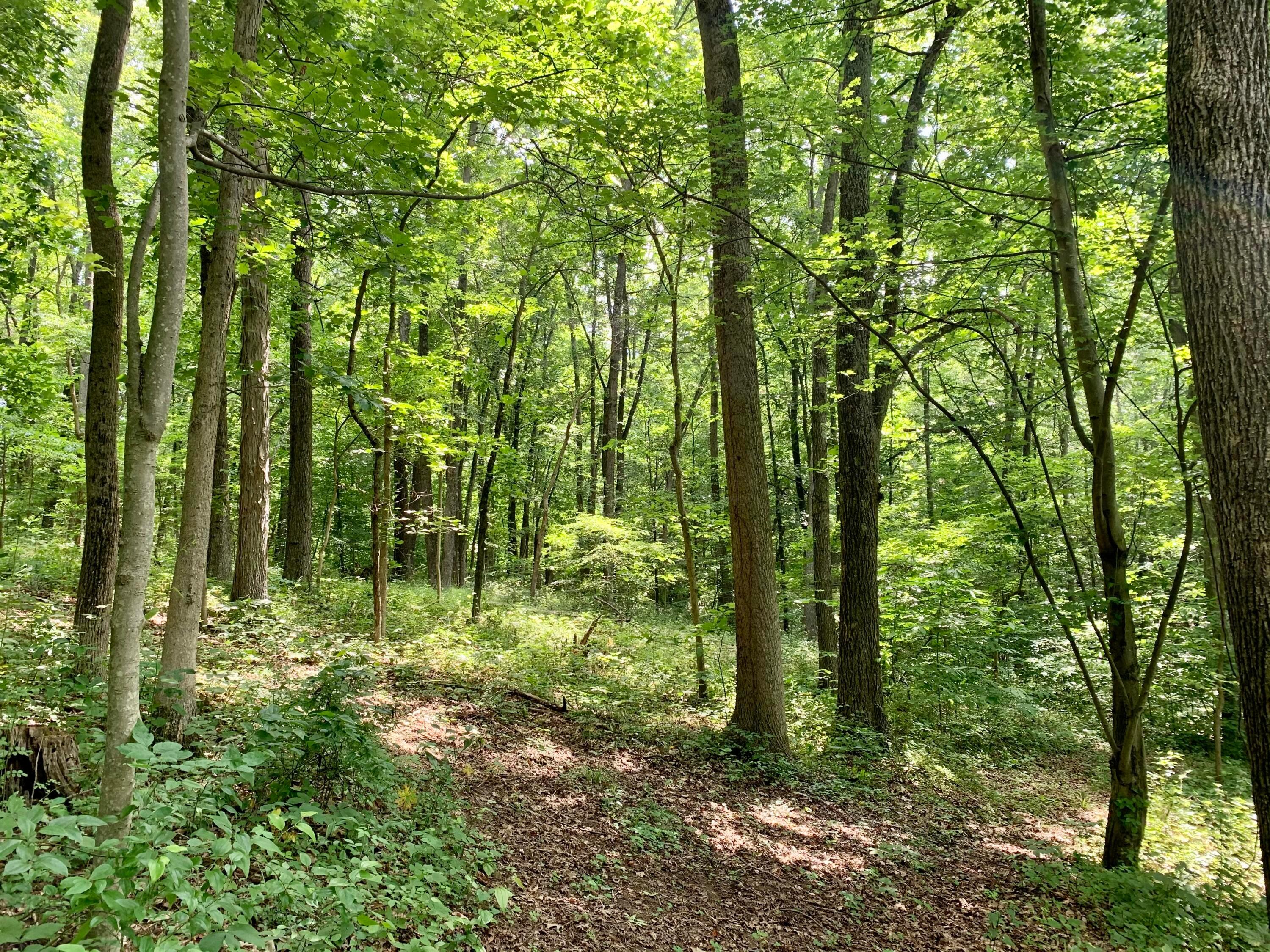 36703 Scout Road Logan, OH 43138 - Photo 53 of 58