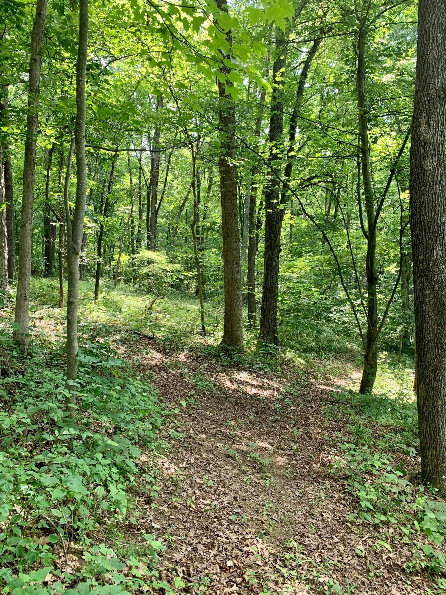 36703 Scout Road Logan, OH 43138 - Photo 54 of 58