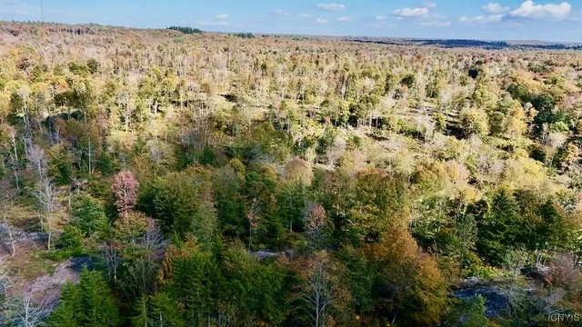 $379,900 | 3114 Potter Road, Osceola, NY 13437