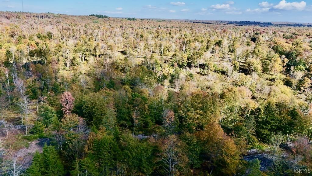 3114 Potter Road Osceola, NY 13437 - Photo 4 of 50