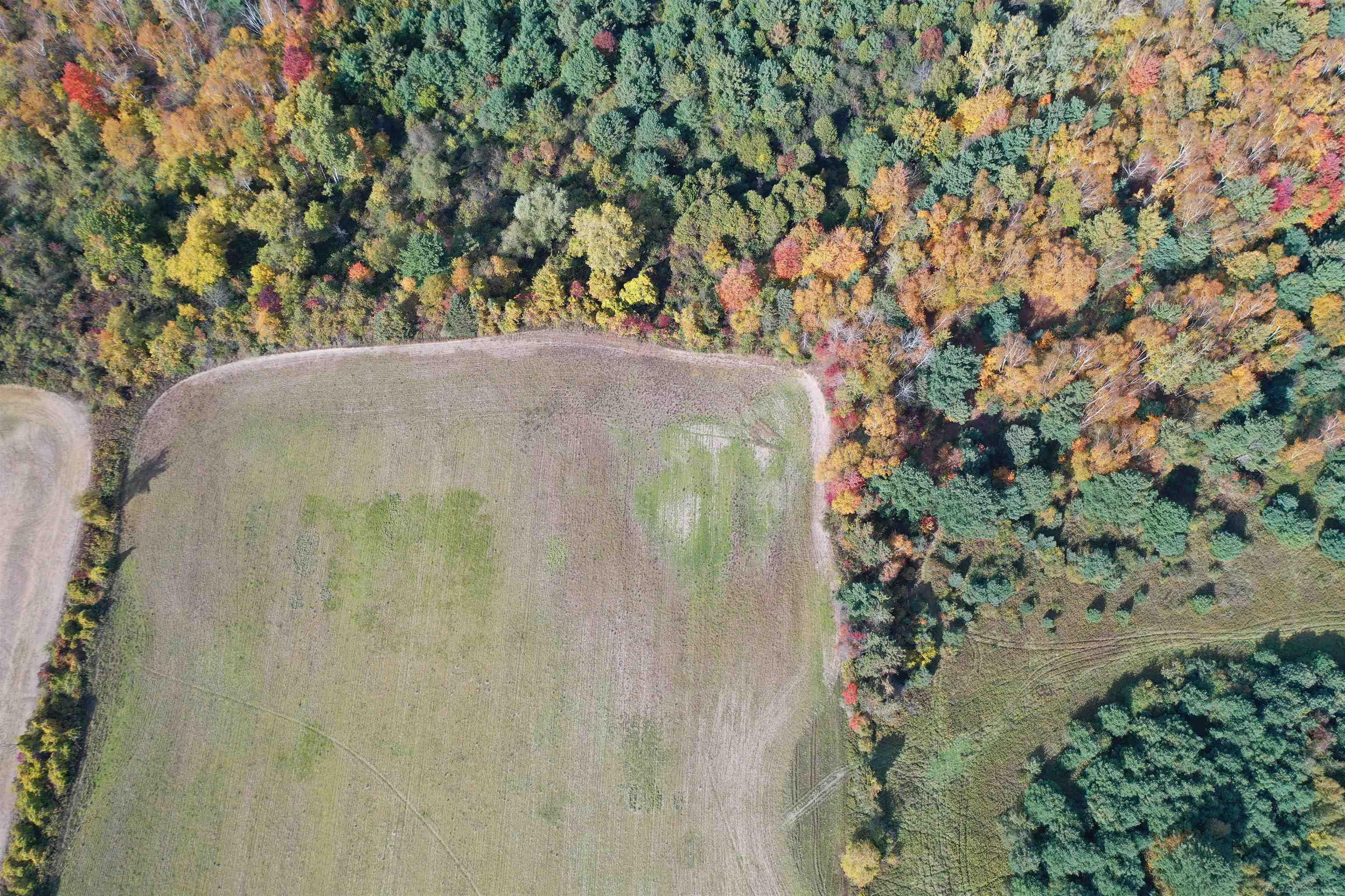 0 French Line Road Carsonville, MI 48419 - Photo 8 of 25