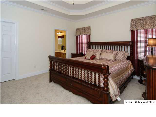 285 Trellis Circle Springville, AL 35146 - Photo 20 of 32