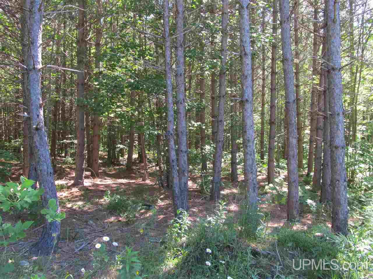 Tbd Lake Head Road Hurley, WI 54534 - Photo 3 of 25