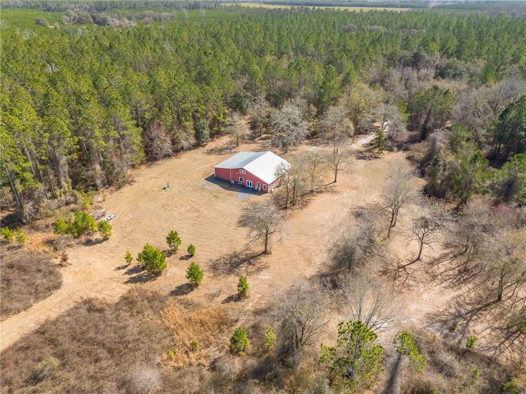 12321 Highway 185 St. George, GA 31562 - Photo 17 of 74