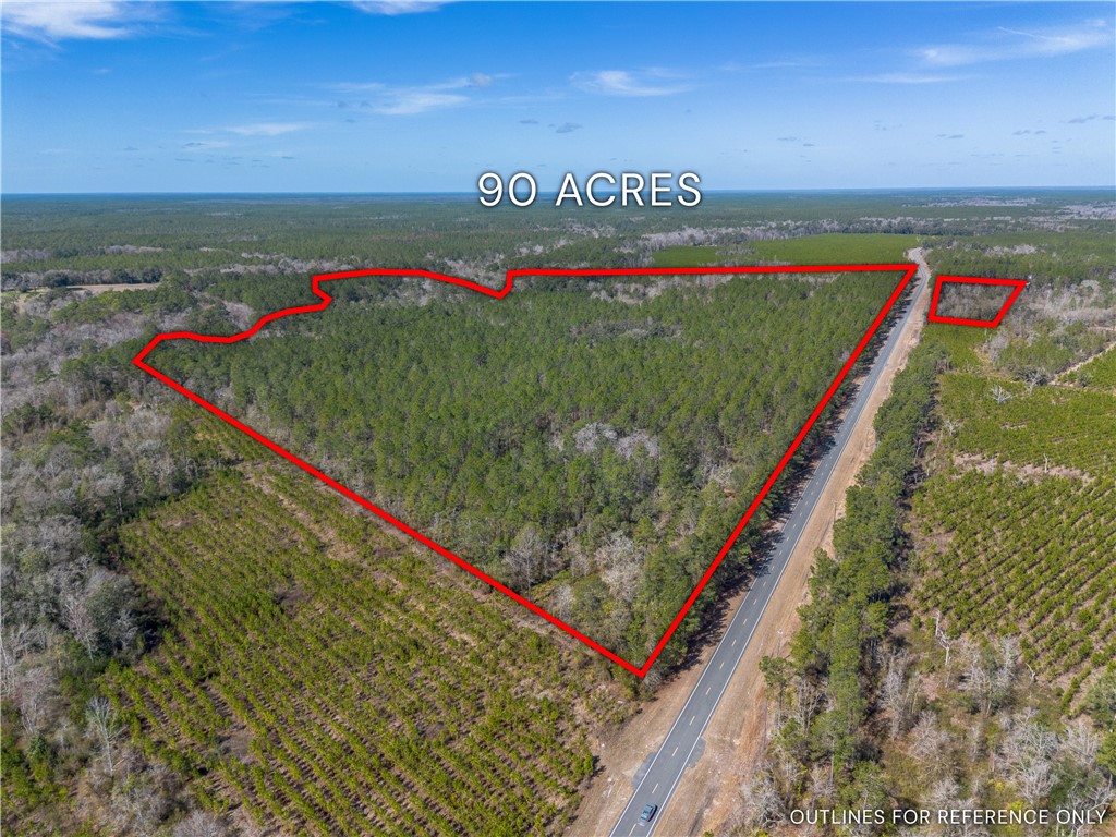 12321 Highway 185 St. George, GA 31562 - Photo 2 of 74