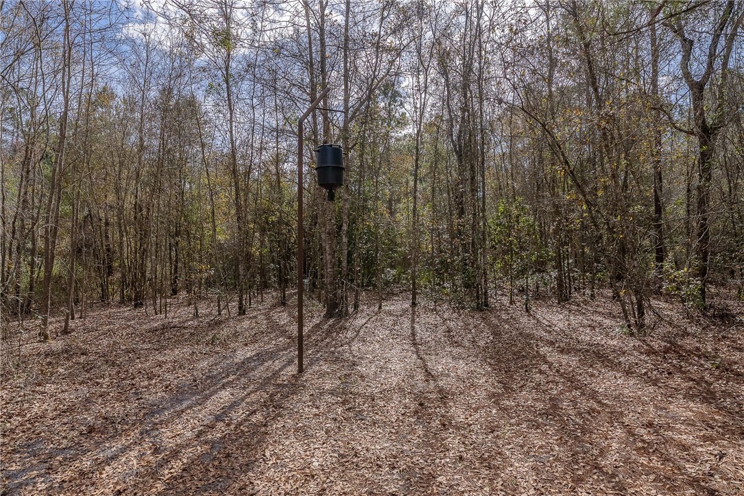 12321 Highway 185 St. George, GA 31562 - Photo 21 of 74