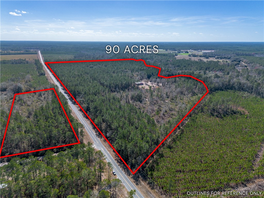 12321 Highway 185 St. George, GA 31562 - Photo 3 of 74