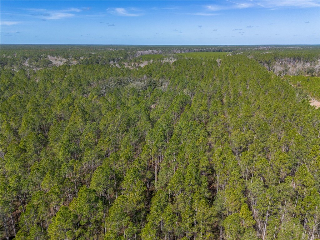 12321 Highway 185 St. George, GA 31562 - Photo 46 of 74