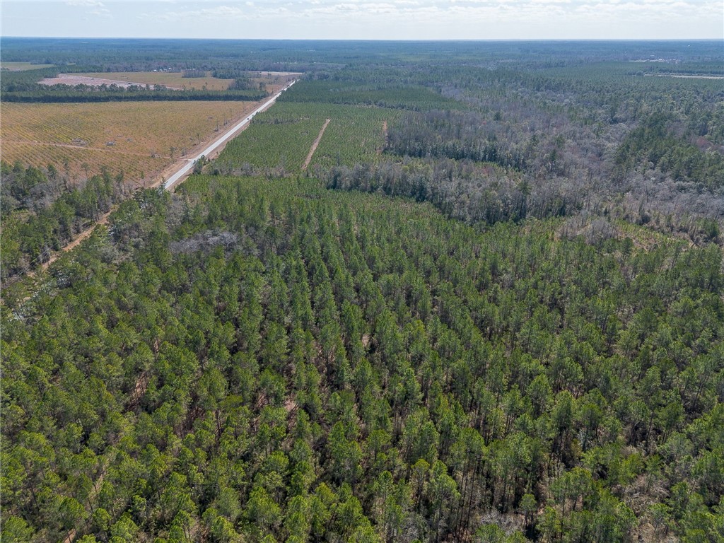 12321 Highway 185 St. George, GA 31562 - Photo 47 of 74