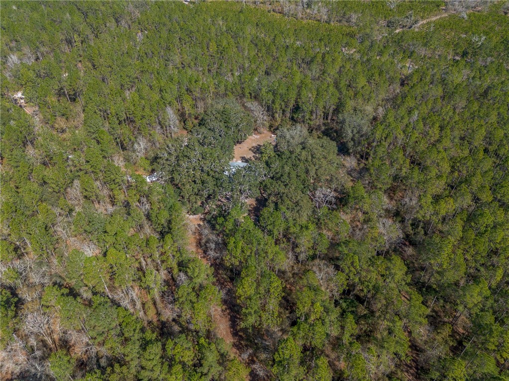 12321 Highway 185 St. George, GA 31562 - Photo 48 of 74