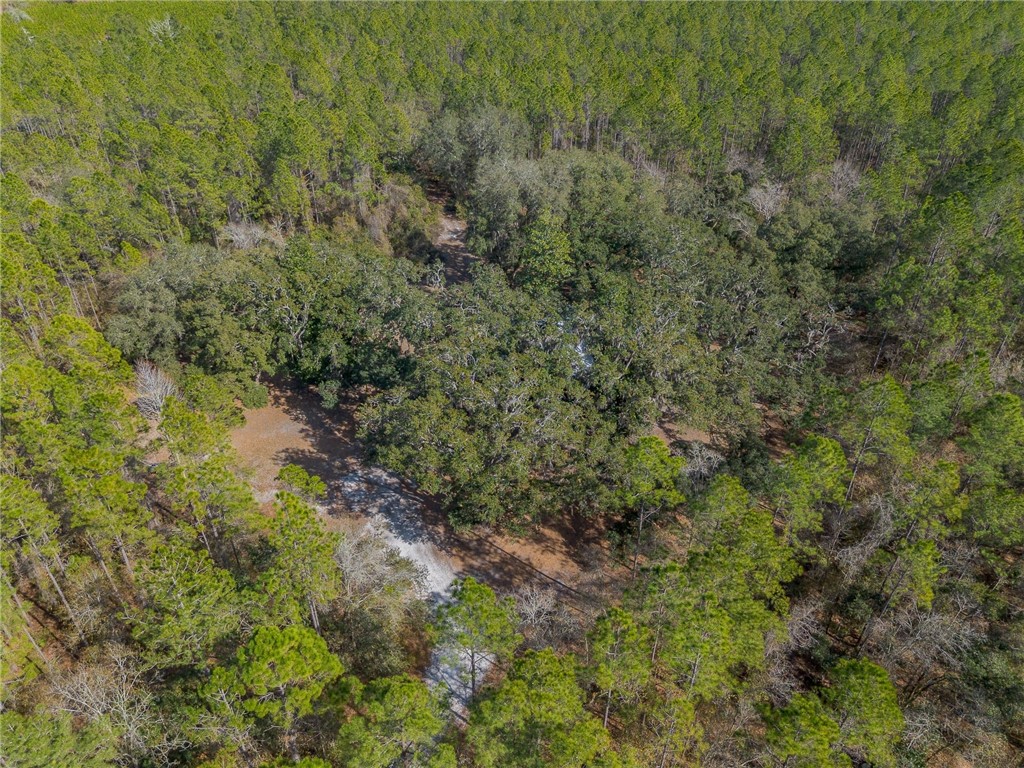 12321 Highway 185 St. George, GA 31562 - Photo 49 of 74