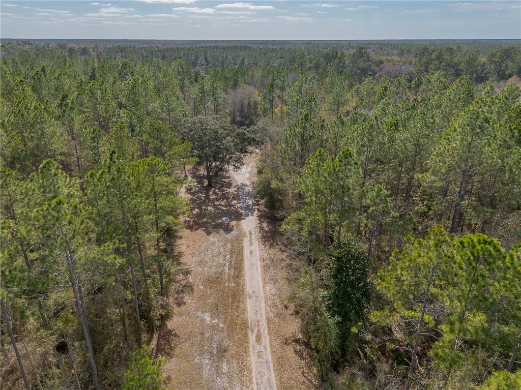 12321 Highway 185 St. George, GA 31562 - Photo 50 of 74