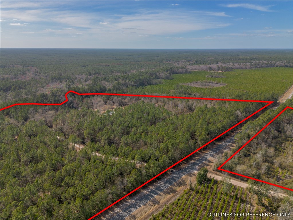 12321 Highway 185 St. George, GA 31562 - Photo 5 of 74