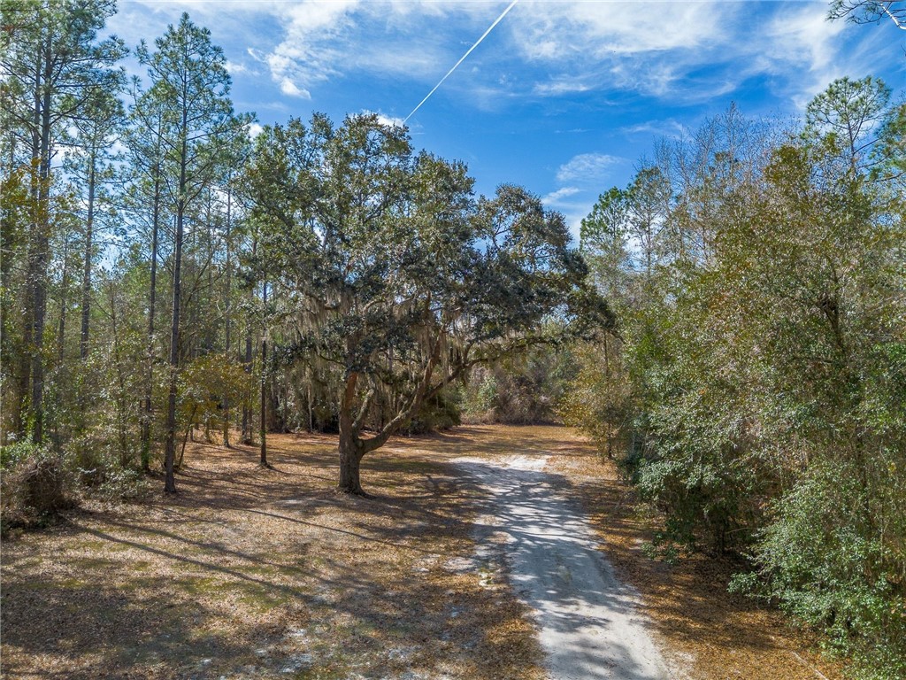 12321 Highway 185 St. George, GA 31562 - Photo 51 of 74