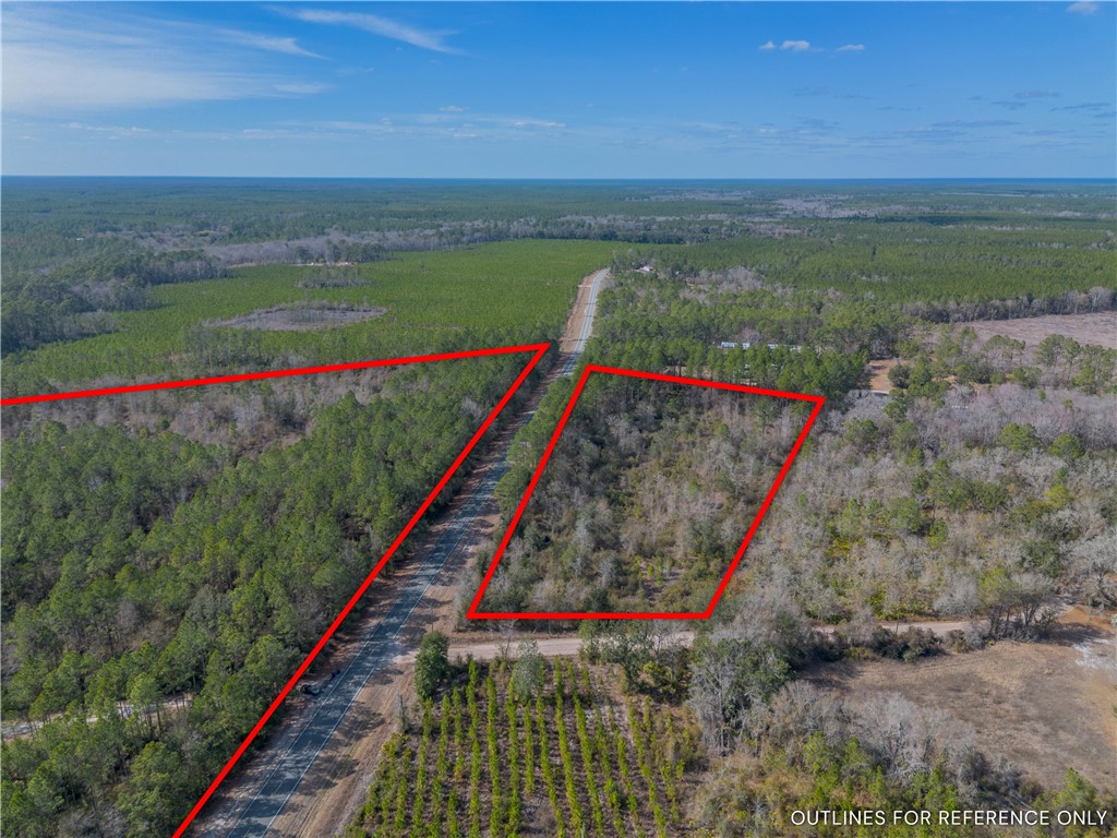 12321 Highway 185 St. George, GA 31562 - Photo 6 of 74