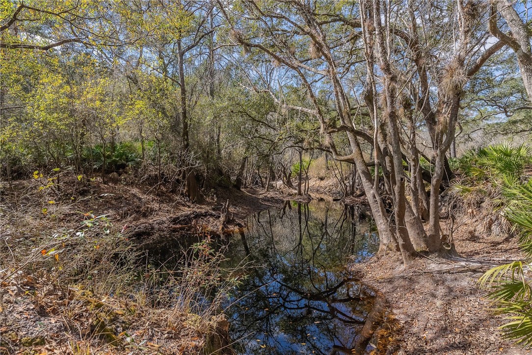 12321 Highway 185 St. George, GA 31562 - Photo 72 of 74