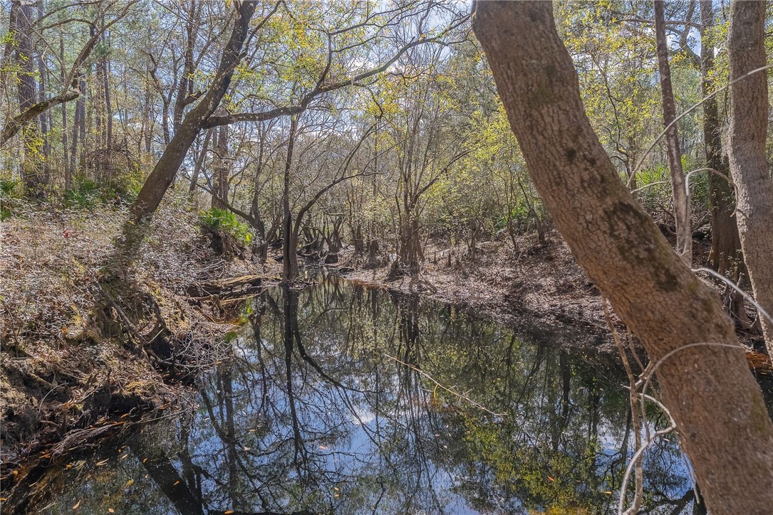 12321 Highway 185 St. George, GA 31562 - Photo 73 of 74