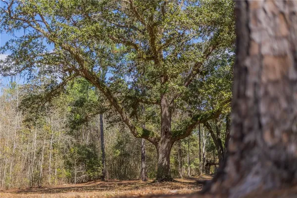 $1,509,800 | 12321 Highway 185, St. George, GA 31562