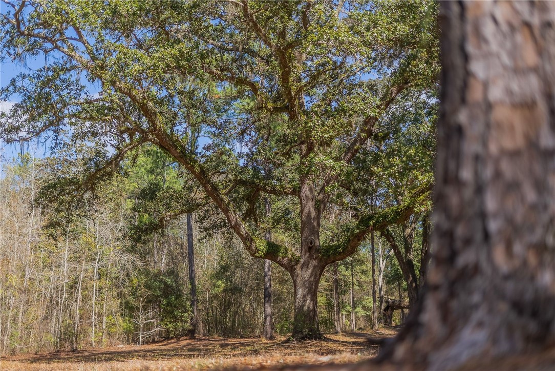 12321 Highway 185 St. George, GA 31562 - Photo 74 of 74