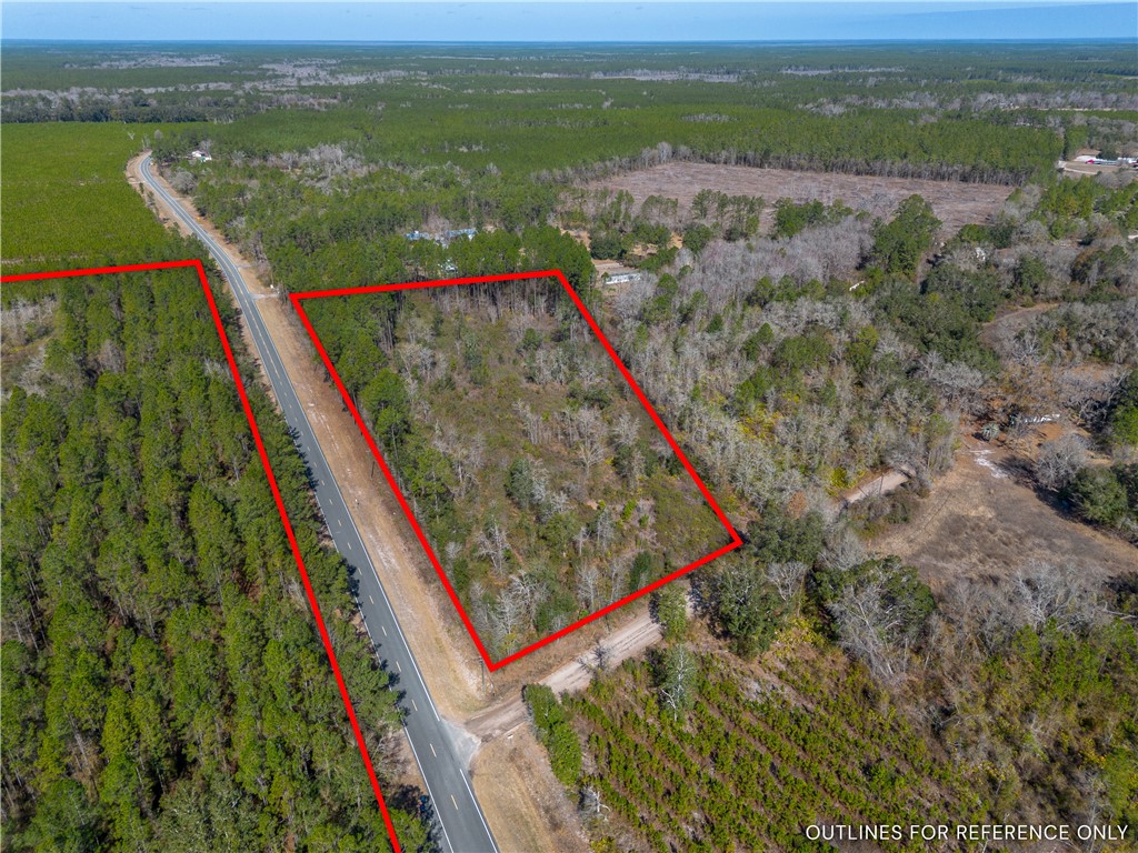 12321 Highway 185 St. George, GA 31562 - Photo 8 of 74