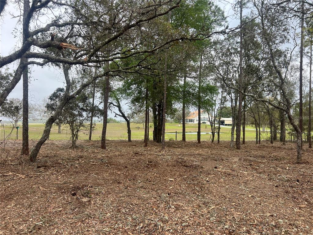 25 Southwest Timberlake Road Dunnellon, FL 34431 - Photo 1 of 27