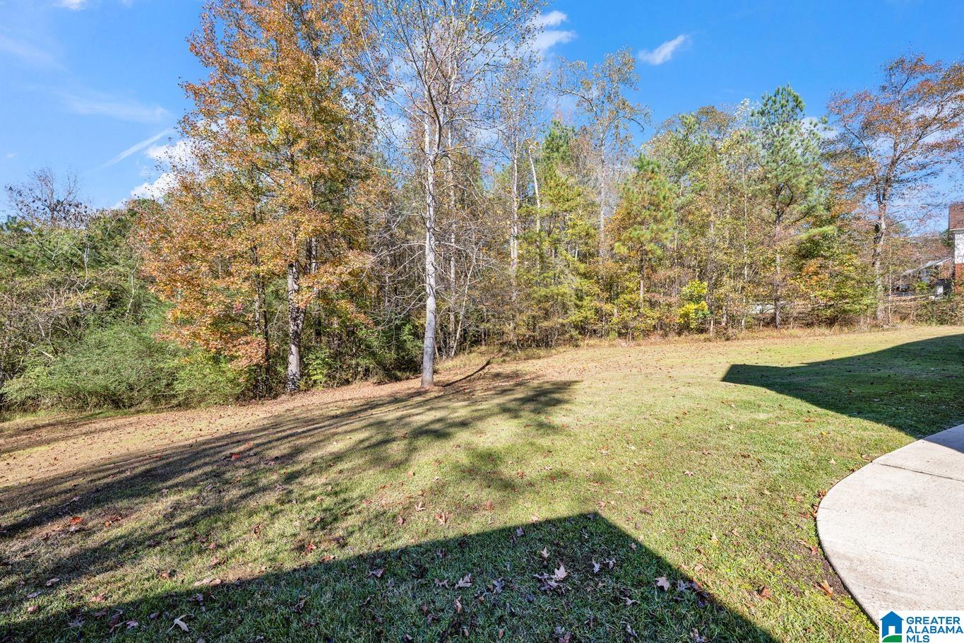 1088 Sellers Road Dora, AL 35062 - Photo 52 of 60