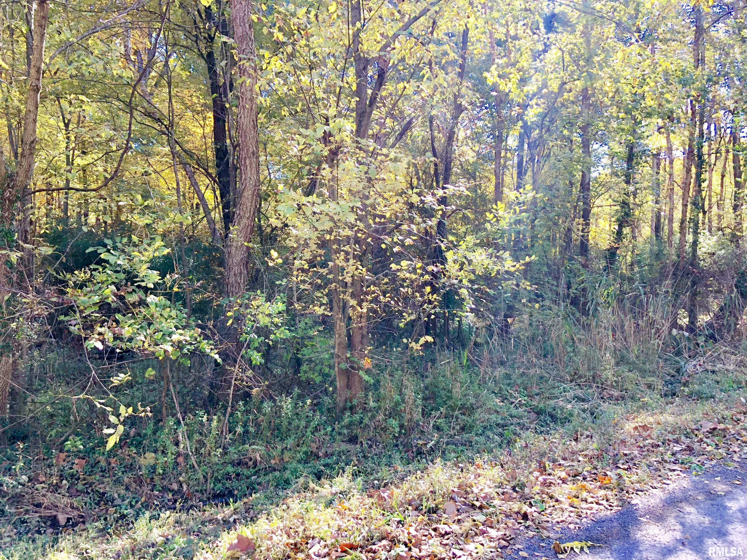 0 Sugar Creek Road Benton, IL 62812 - Photo 1 of 6 Gallery Image 1